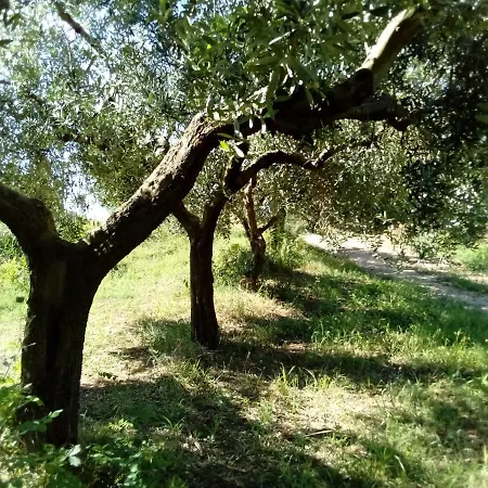 Frühstückspension Il Giardino Di Circe - *