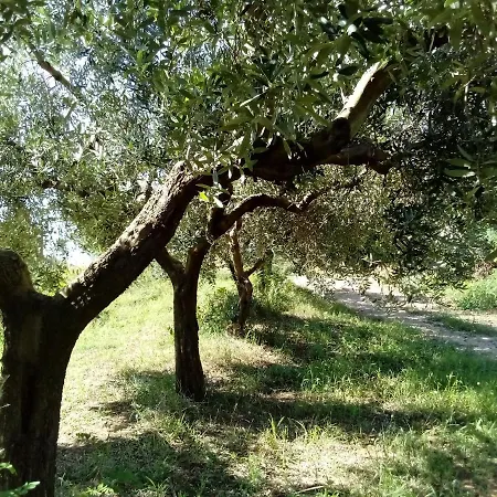 Bed and Breakfast Il Giardino Di Circe - *