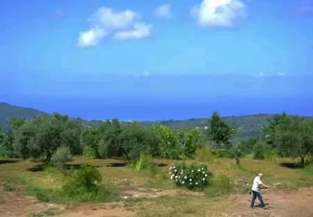 Il Giardino Di Circe - Filadelfia