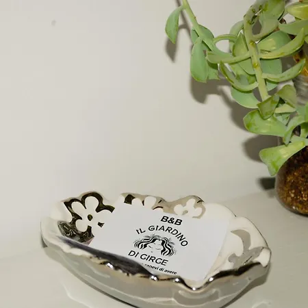 Il Giardino Di Circe - * Filadelfia