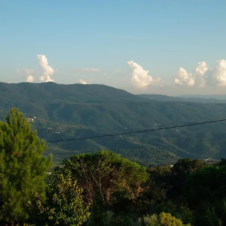 Il Giardino Di Circe - Отель типа 