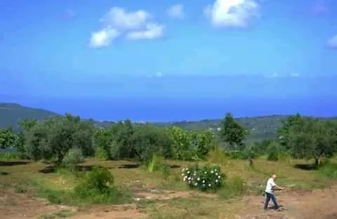 Il Giardino Di Circe - Filadélfia