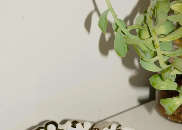 Il Giardino Di Circe - לינה וארוחת בוקר