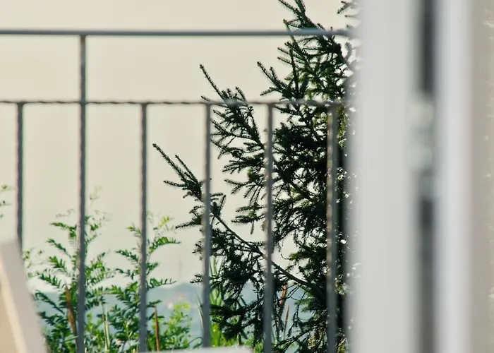 Il Giardino Di Circe - לינה וארוחת בוקר Filadelfia