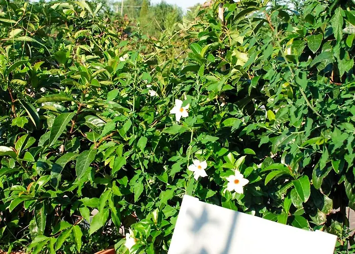 Alojamento de Acomodação e Pequeno-almoço Il Giardino Di Circe - Filadélfia